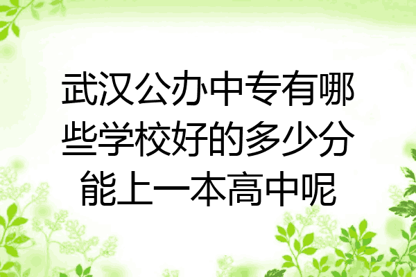 武汉公办中专有哪些学校好的多少分能上一本高中呢