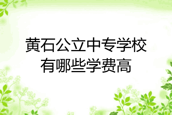黄石公立中专学校有哪些学费高