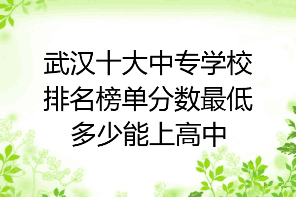 武汉十大中专学校排名榜单分数最低多少能上高中