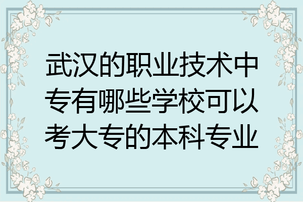 武汉的职业技术中专有哪些学校可以考大专的本科专业