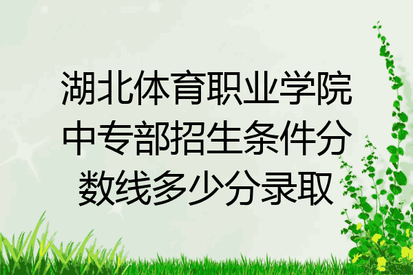 湖北体育职业学院中专部招生条件分数线多少分录取
