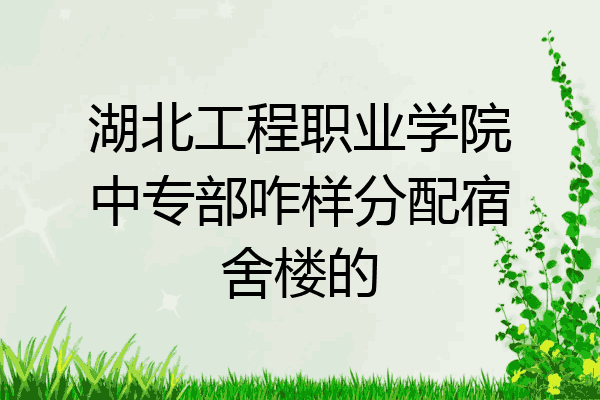 湖北工程职业学院中专部咋样分配宿舍楼的