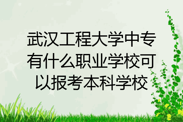 武汉工程大学中专有什么职业学校可以报考本科学校