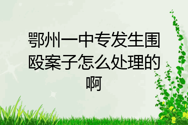 鄂州一中专发生围殴案子怎么处理的啊