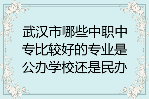 武汉市哪些中职中专比较好的专业是公办学校还是民办