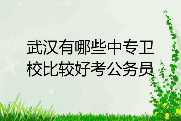 武汉有哪些中专卫校比较好考公务员