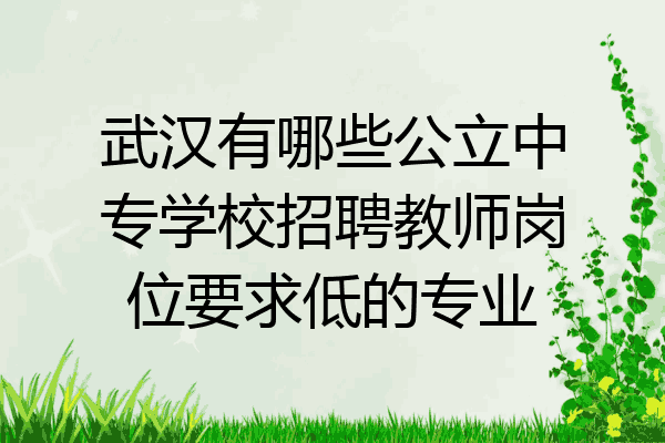 武汉有哪些公立中专学校招聘教师岗位要求低的专业