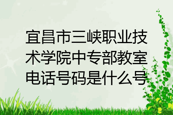 宜昌市三峡职业技术学院中专部教室电话号码是什么号