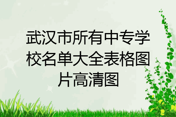 武汉市所有中专学校名单大全表格图片高清图