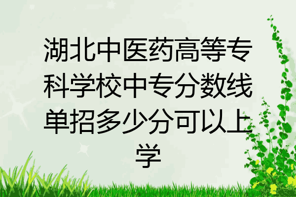 湖北中医药高等专科学校中专分数线单招多少分可以上学