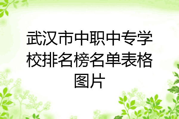 武汉市中职中专学校排名榜名单表格图片