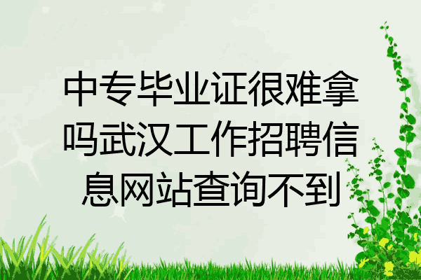 中专毕业证很难拿吗武汉工作招聘信息网站查询不到