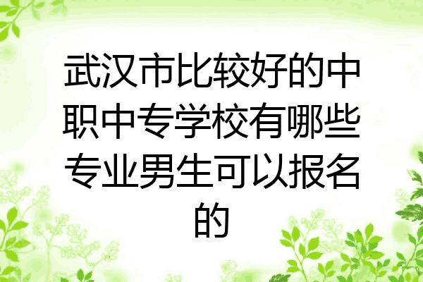 武汉市比较好的中职中专学校有哪些专业男生可以报名的