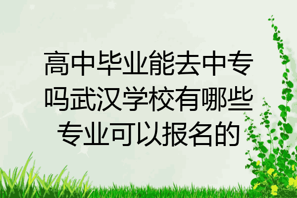 高中毕业能去中专吗武汉学校有哪些专业可以报名的