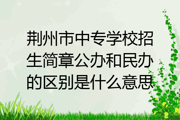 荆州市中专学校招生简章公办和民办的区别是什么意思