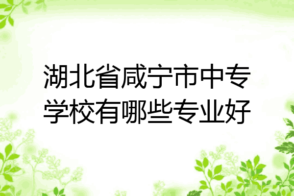 湖北省咸宁市中专学校有哪些专业好