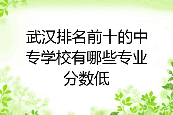 武汉排名前十的中专学校有哪些专业分数低