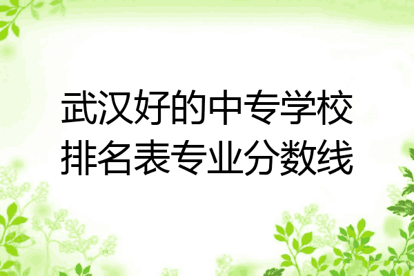 武汉好的中专学校排名表专业分数线