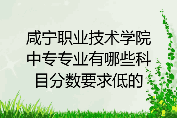 咸宁职业技术学院中专专业有哪些科目分数要求低的
