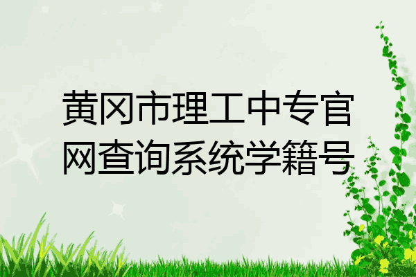 黄冈市理工中专官网查询系统学籍号