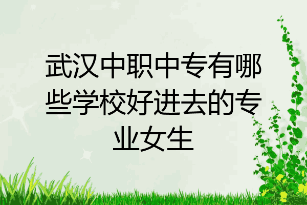 武汉中职中专有哪些学校好进去的专业女生