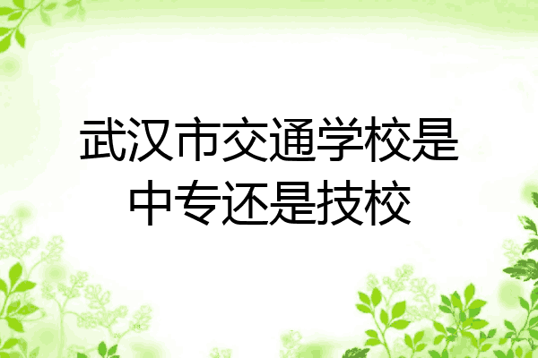 武汉市交通学校是中专还是技校