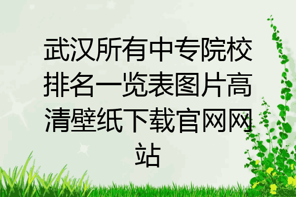 武汉所有中专院校排名一览表图片高清壁纸下载官网网站