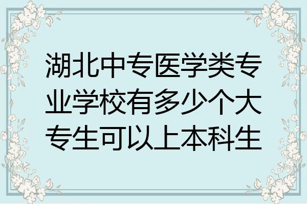 湖北中专医学类专业学校有多少个大专生可以上本科生
