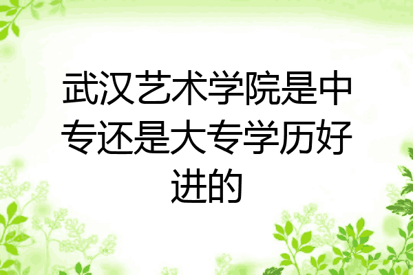 武汉艺术学院是中专还是大专学历好进的