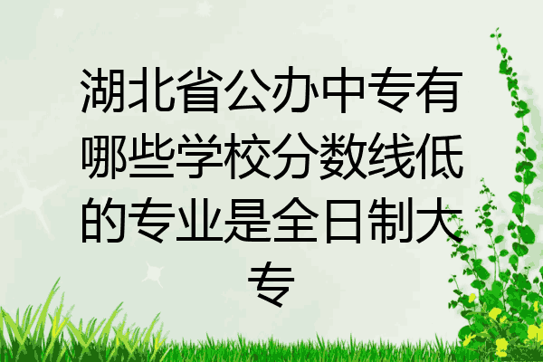 湖北省公办中专有哪些学校分数线低的专业是全日制大专