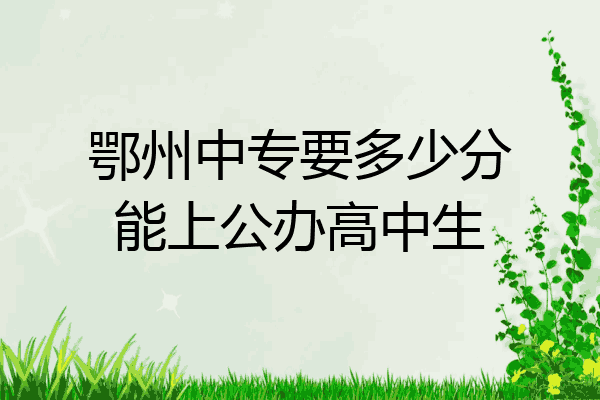 鄂州中专要多少分能上公办高中生