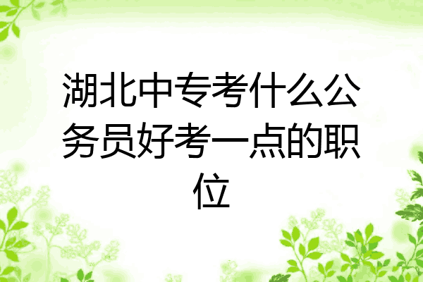 湖北中专考什么公务员好考一点的职位