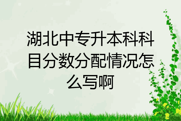 湖北中专升本科科目分数分配情况怎么写啊