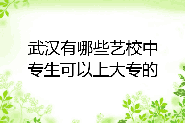 武汉有哪些艺校中专生可以上大专的