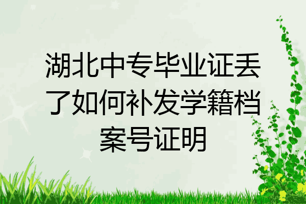 湖北中专毕业证丢了如何补发学籍档案号证明