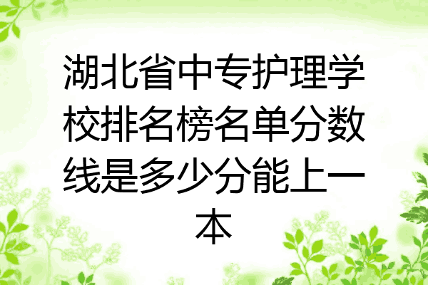 湖北省中专护理学校排名榜名单分数线是多少分能上一本