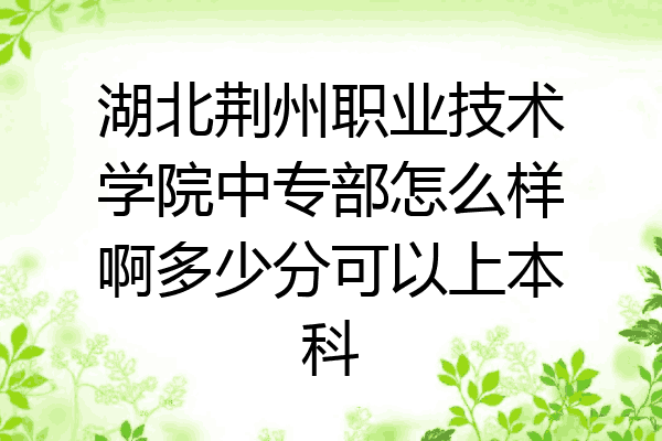 湖北荆州职业技术学院中专部怎么样啊多少分可以上本科