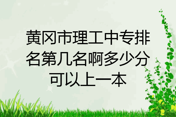 黄冈市理工中专排名第几名啊多少分可以上一本