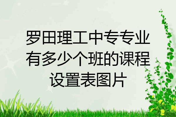 罗田理工中专专业有多少个班的课程设置表图片