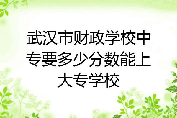武汉市财政学校中专要多少分数能上大专学校