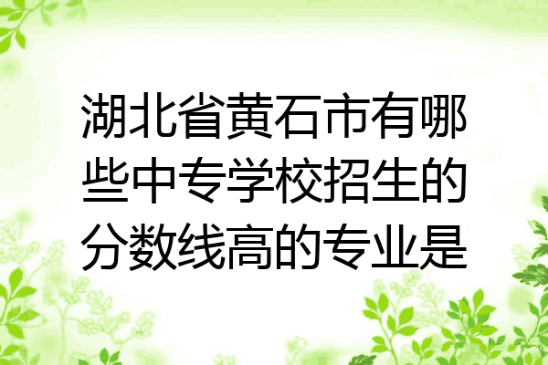湖北省黄石市有哪些中专学校招生的分数线高的专业是
