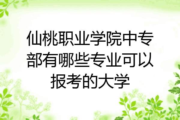 仙桃职业学院中专部有哪些专业可以报考的大学