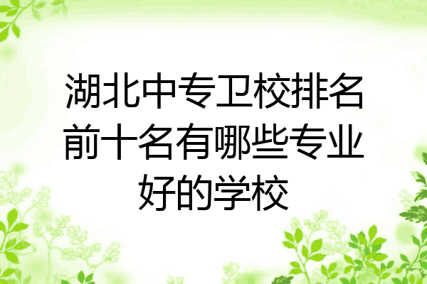 湖北中专卫校排名前十名有哪些专业好的学校