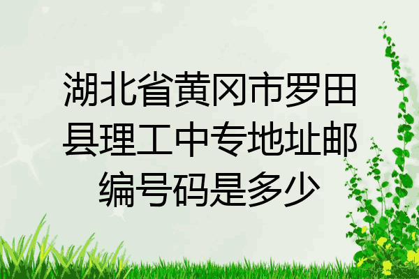 湖北省黄冈市罗田县理工中专地址邮编号码是多少