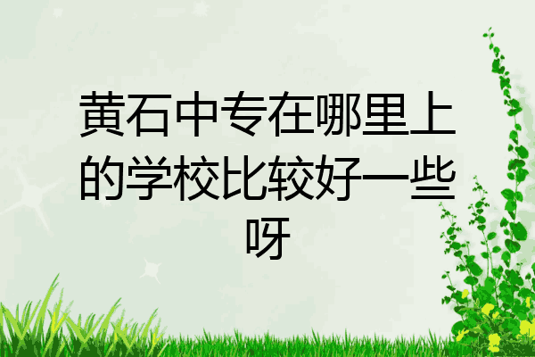 黄石中专在哪里上的学校比较好一些呀