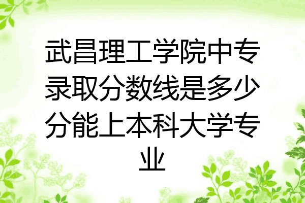 武昌理工学院中专录取分数线是多少分能上本科大学专业