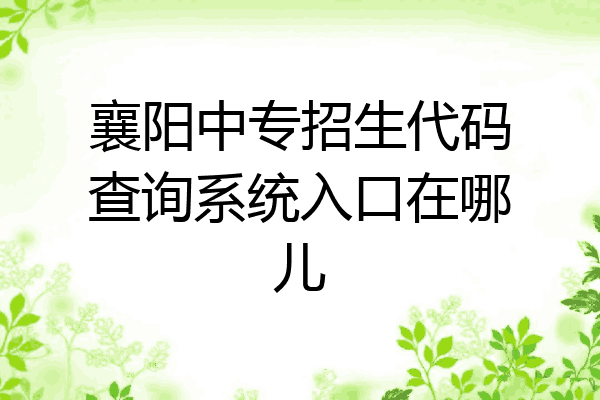 襄阳中专招生代码查询系统入口在哪儿
