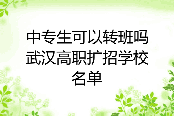 中专生可以转班吗武汉高职扩招学校名单
