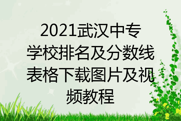 2021武汉中专学校排名及分数线表格下载图片及视频教程