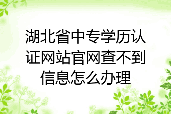 湖北省中专学历认证网站官网查不到信息怎么办理
